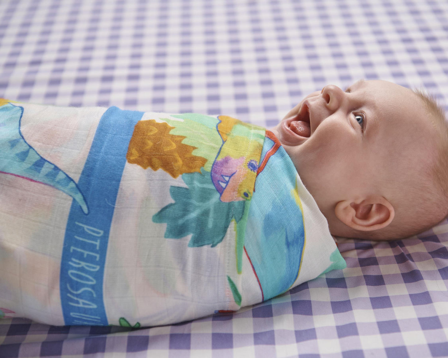 Dino Safari Bamboo Swaddle