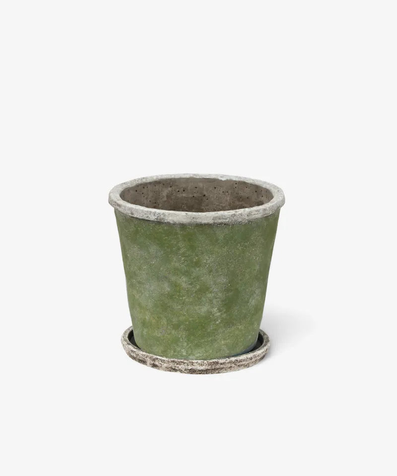 Evergreen Plant Pot