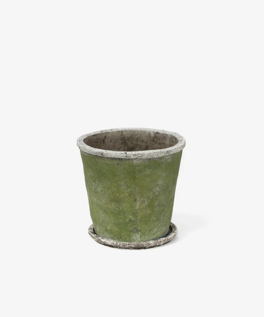 Evergreen Plant Pot