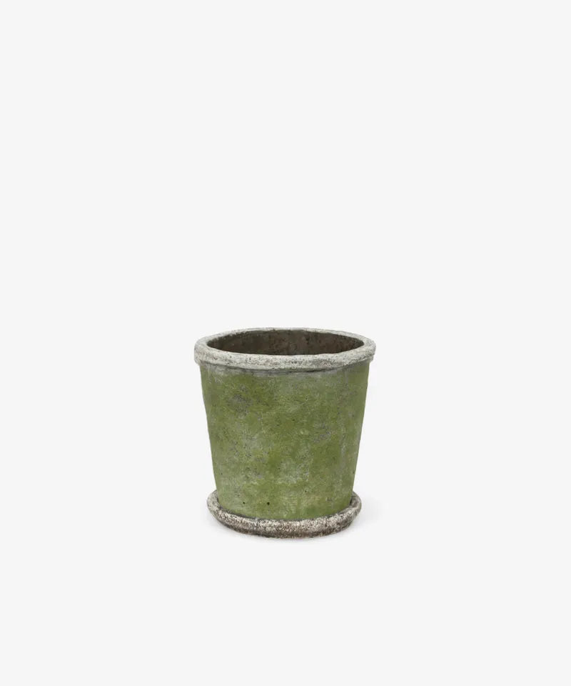 Evergreen Plant Pot