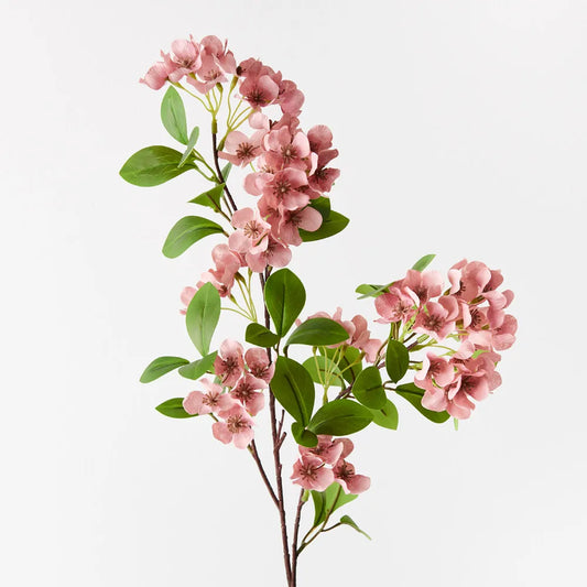 Snow Flower