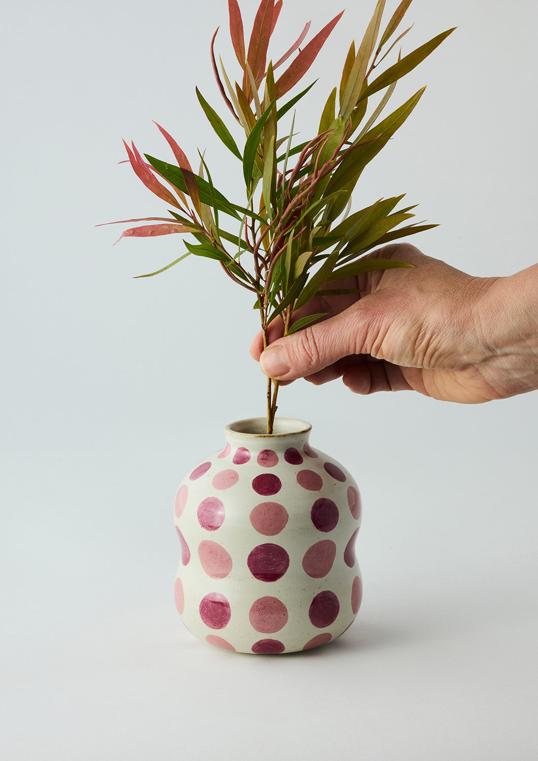 Bushland Spot Bud Vase - Magenta