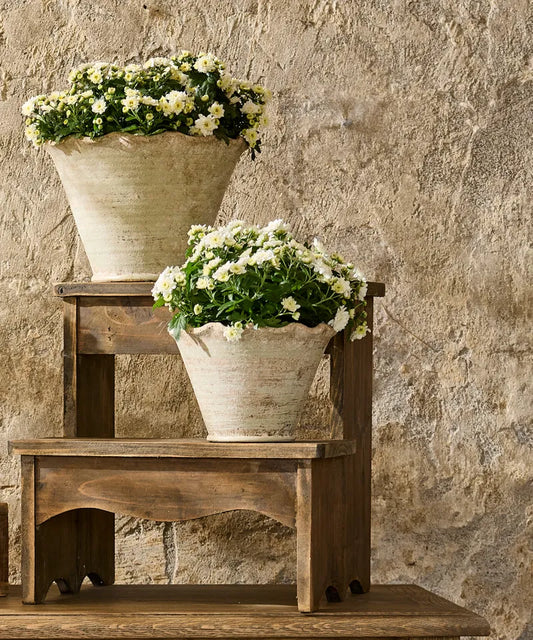 Wavy Plant Pot Small