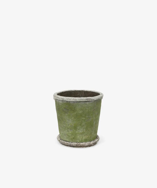 Evergreen Plant Pot