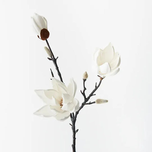 Magnolia Japanese Spray