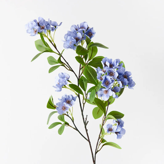 Snow Flower