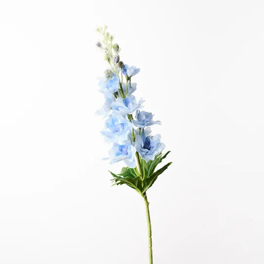Delphinium Light Blue