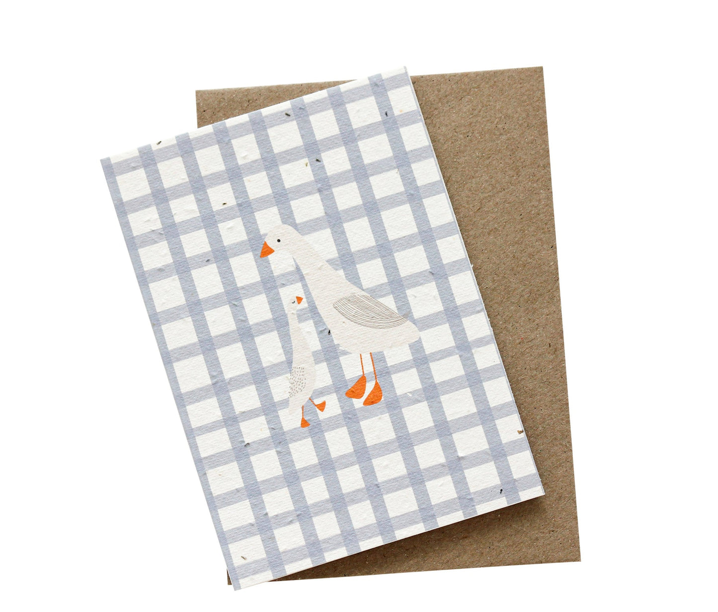 Ducks Plantable Card
